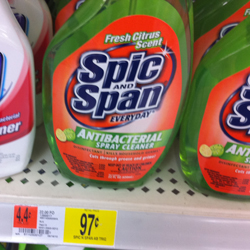 rp_spic-span.jpg