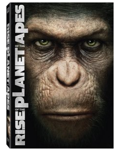 dvd sale