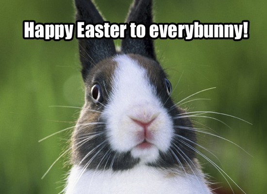 Happy-Easter-Funny-Images