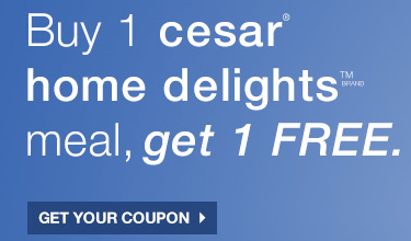 cesar coupon