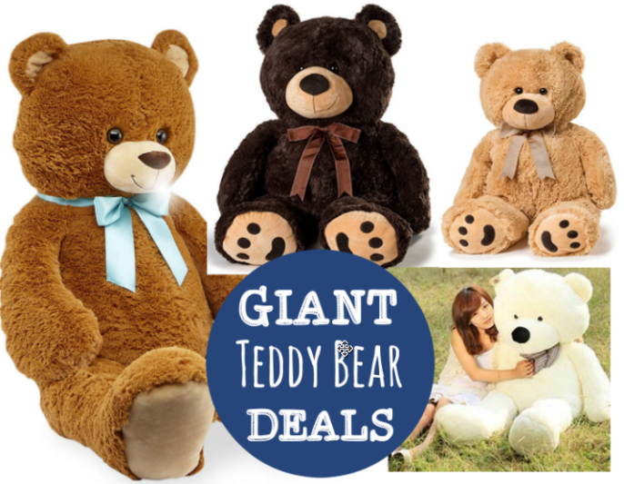 giant teddy bear walgreens