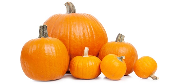 pumpkins