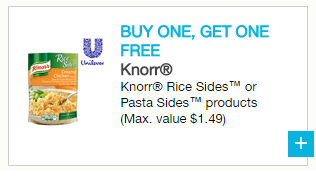 knorr
