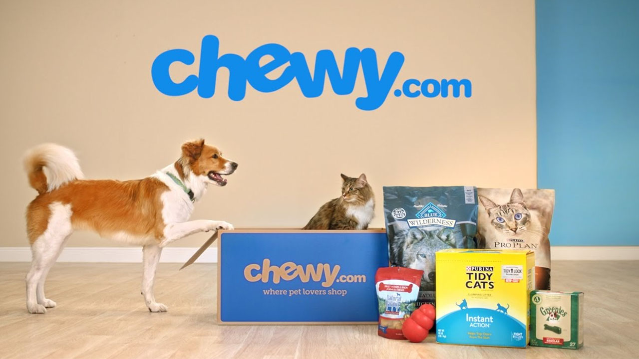 chewy cat